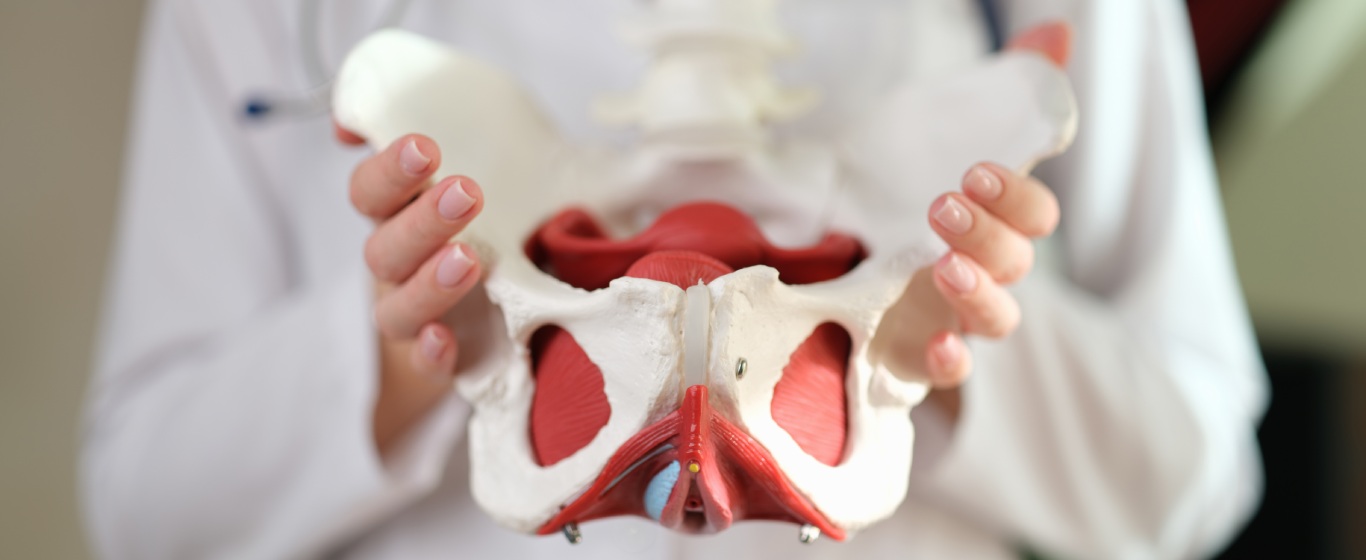 Thay khớp háng có được bảo hiểm không? Những điều nên biết