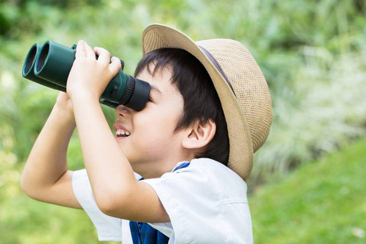 Tết này con sẽ làm gì?