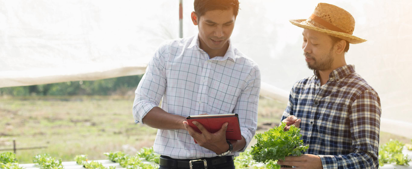 Hành trình sống xanh bắt đầu từ đâu?