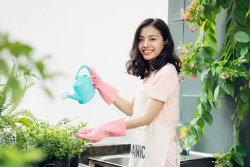 Bài tập thể dục mang tên “việc nhà”