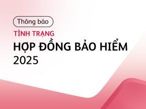 Thông báo Tình trạng Hợp đồng bảo hiểm 2025