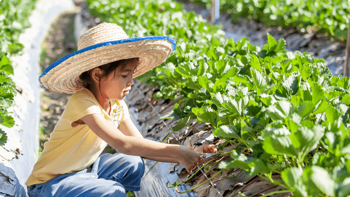 Thích nghi linh hoạt là phẩm chất của công dân toàn câu