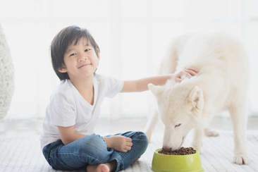 Cùng bé chọn bạn thú cưng
