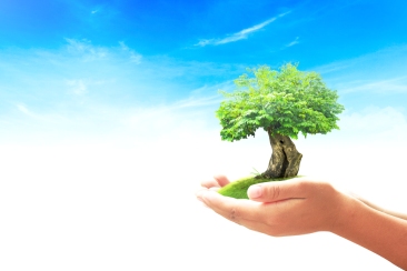 Tích lũy là gì? Bước đầu cho người mới học đầu tư