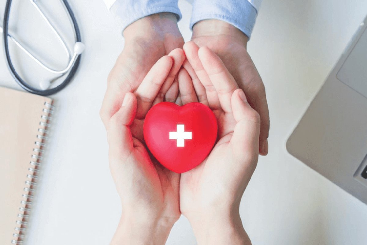 bao-hiem-lao-dong-la-gi-6-loai-bao-hiem-cho-nguoi-lao-dong-1200x800-3