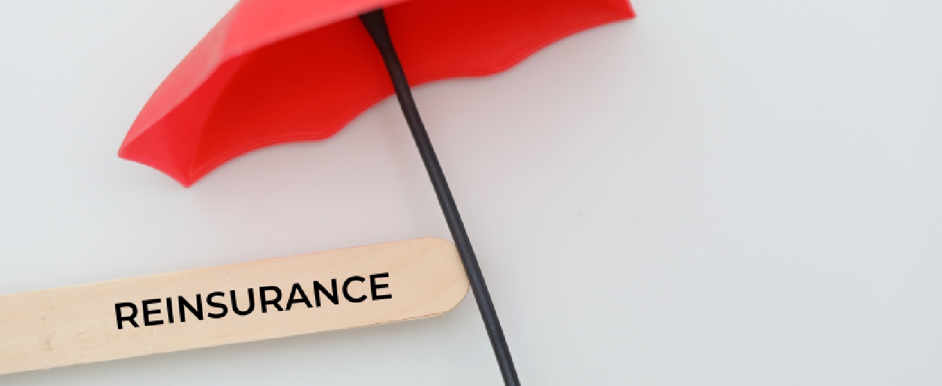 tái bảo hiểm là gì