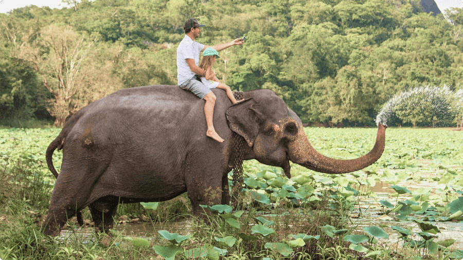 8-loai-tri-thong-minh-cua-con-tre-ma-bo-me-can-nam-ro-de-boi-duong-thien-phu-tu-som-2