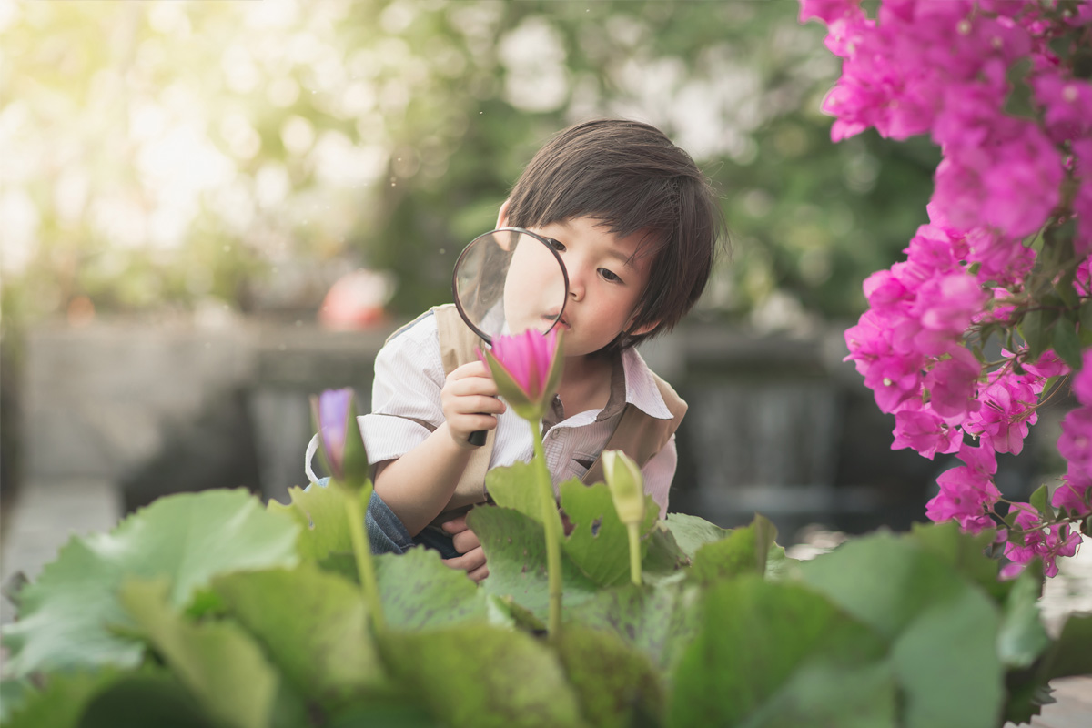 8-loai-tri-thong-minh-cua-con-tre-ma-bo-me-can-nam-ro-de-boi-duong-thien-phu-tu-som-3