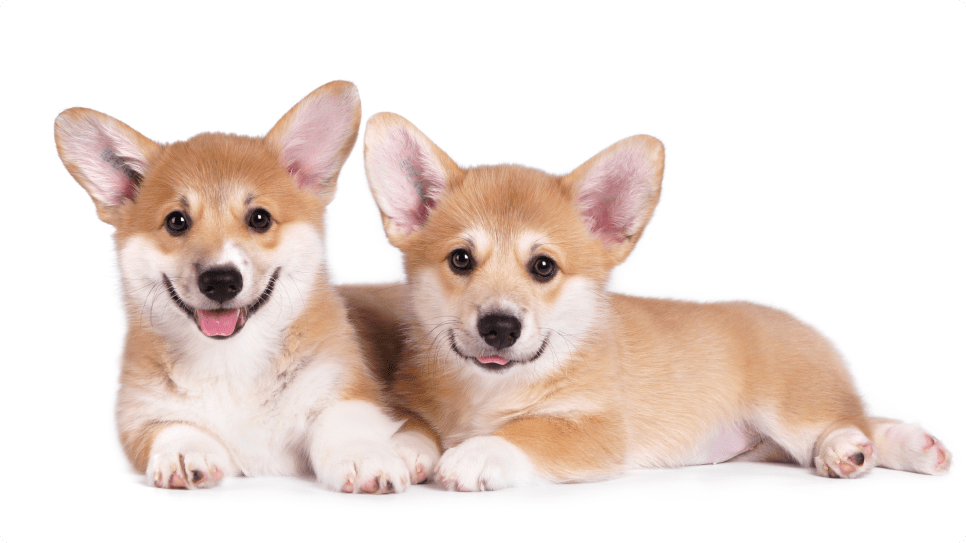 bai-viet-dieu-ky-dieu-tu-5-phut-thu-gian-03