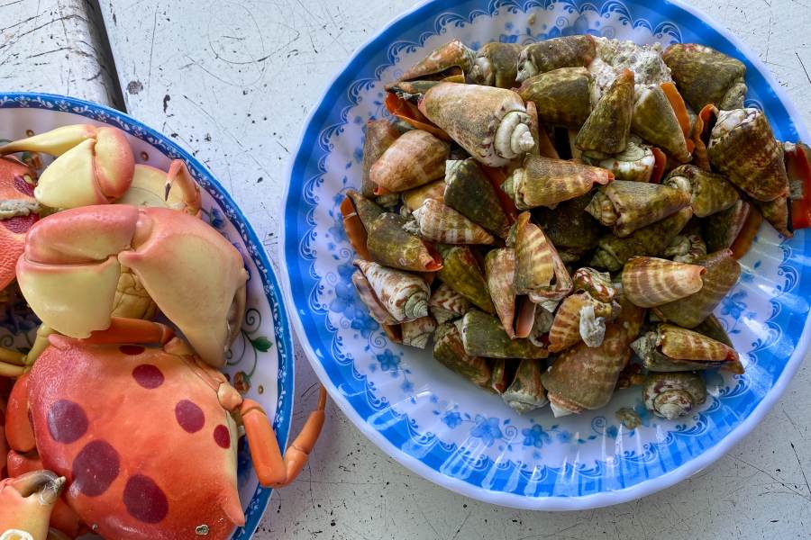 Du lịch hè gia đình: Top Lưu ý và Gợi ý thú vị