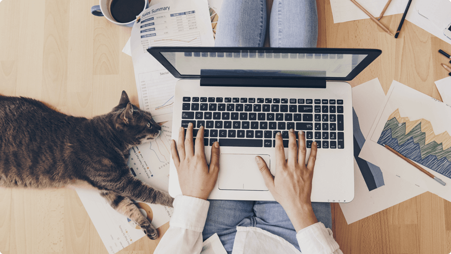 “Làm việc từ xa” thế nào cho hiệu quả?