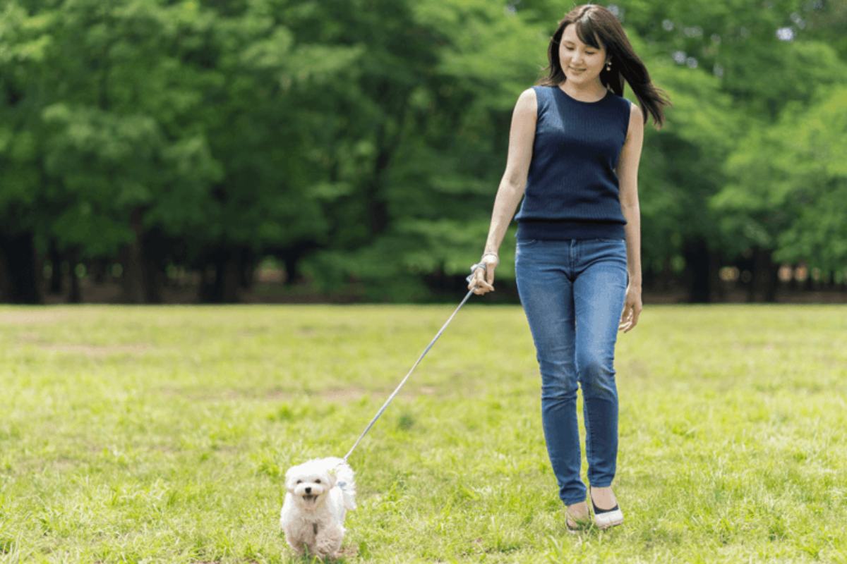 Chủ nghĩa khắc kỷ là gì? Nguyên lý và cách áp dụng hiệu quả