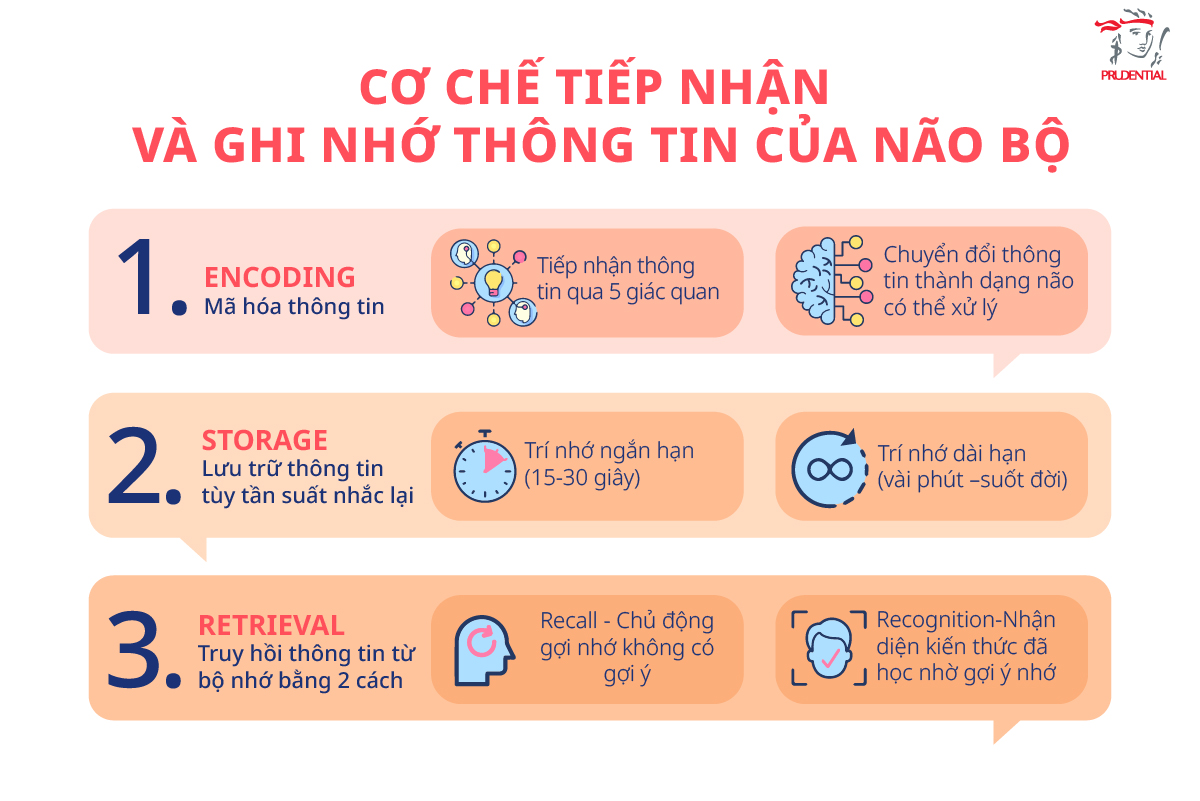 co-hay-khong-khung-hoang-tuoi-25-1200x800-3