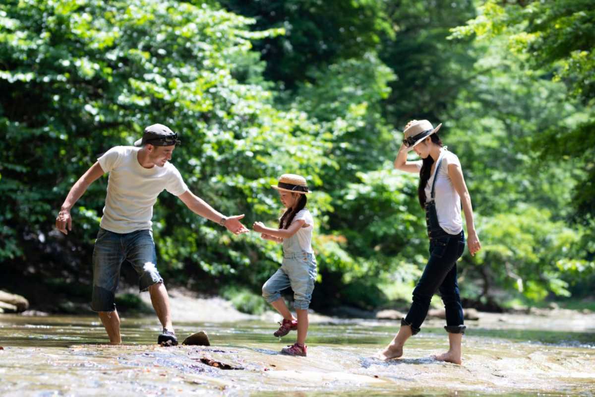 quay-ve-voi-nguyen-ban-de-chua-lanh-sau-mot-nam-day-kho-khan-1200x800-1