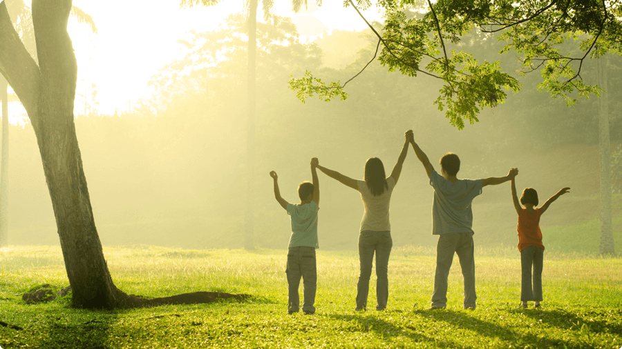 bai-viet-ve-voi-thien-nhien-chua-lanh-tinh-than-02