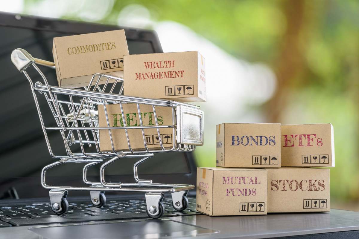 quan-ly-danh-muc-dau-tu-2-1200x800