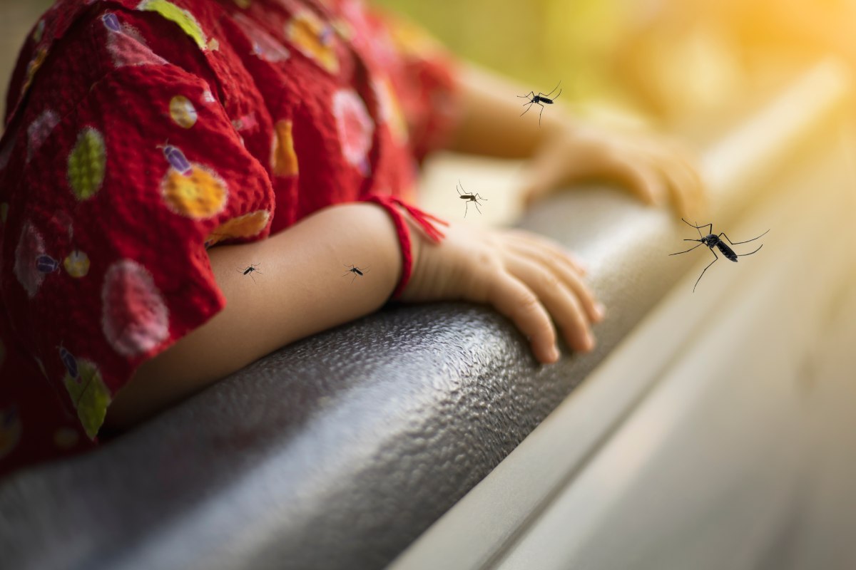 8-cach-phong-benh-sot-xuat-huyet-hieu-qua-trong-mua-mua-1200x800-1