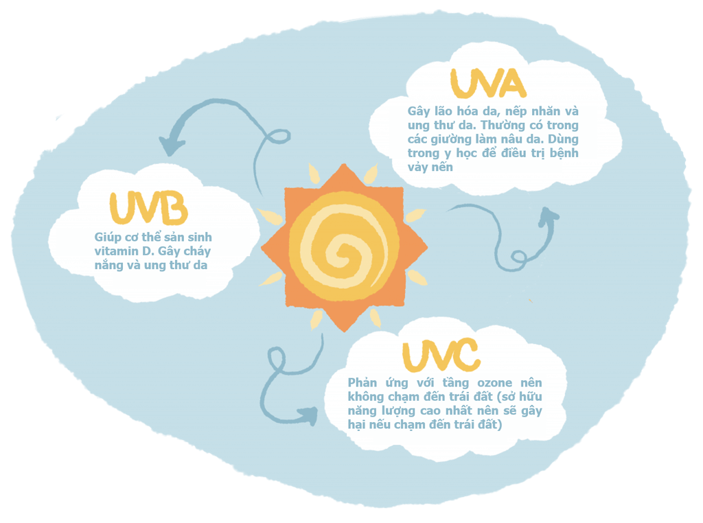 pulse-nhip-song-khoe-vitamin-d-1024x763