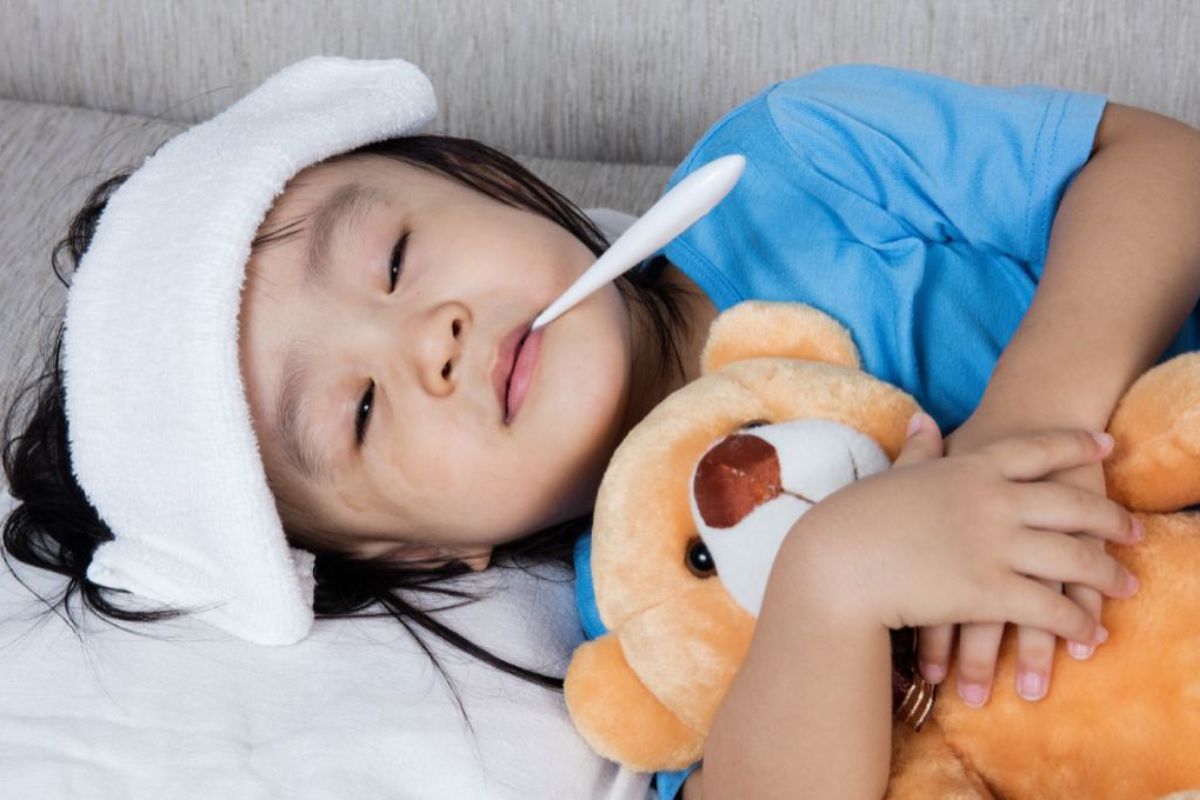 can-trong-voi-benh-quai-bi-1200x800-2