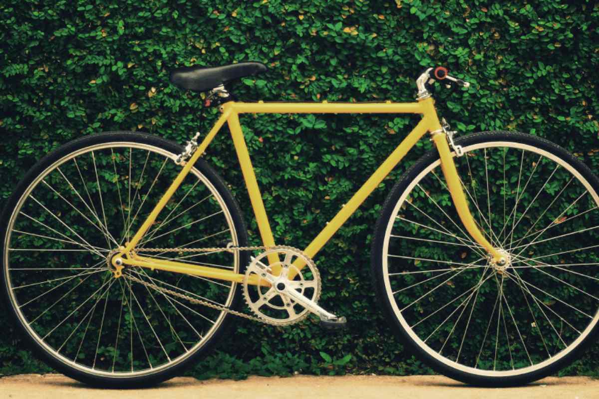 nhap-mon-dap-xe-lua-chon-xe-dap-va-lap-che-do-an-uong-phu-hop-1200x800-3