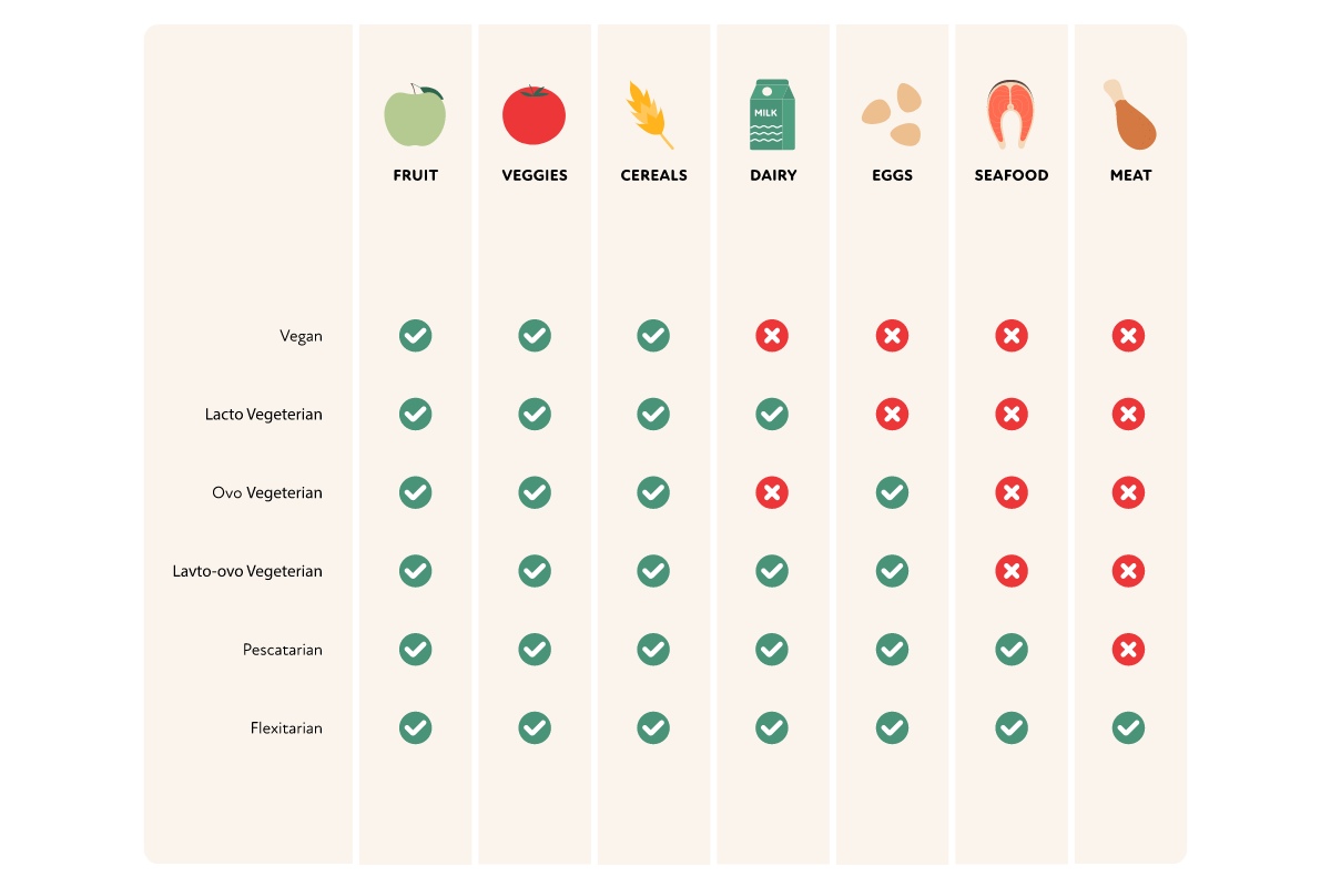 nhung-dieu-ban-can-biet-ve-che-do-an-nen-thuc-vat-plant-based-diet-1-1200x800-2
