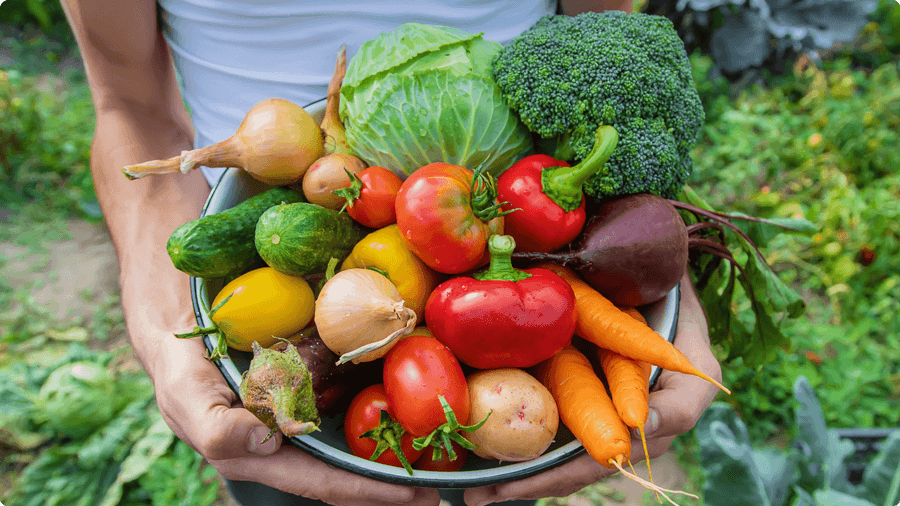 bai-viet-thuc-don-danh-rieng-cho-tuoi-vang-cua-bo-me-02